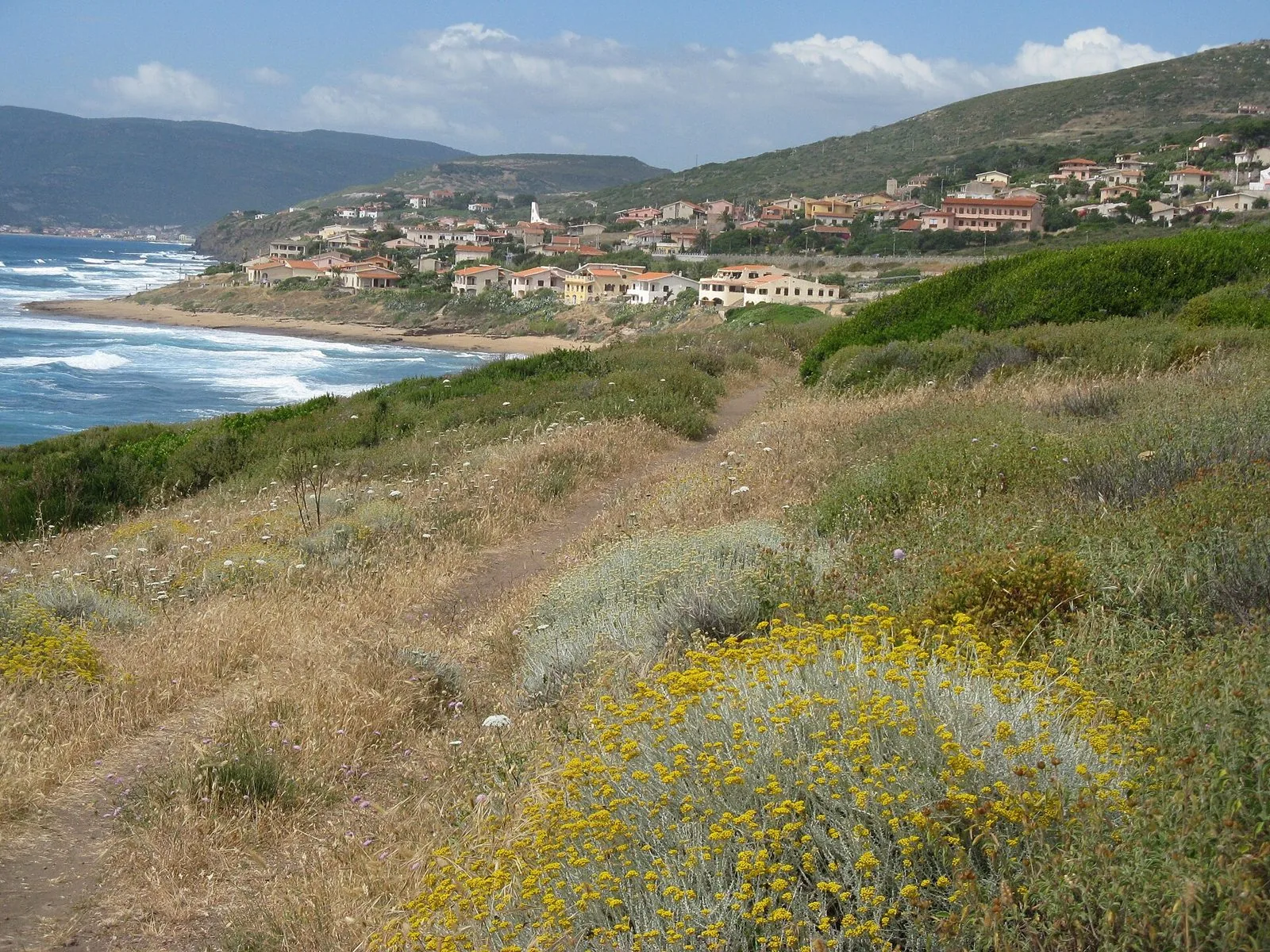 Sentiero costiero di Porto Alabe tra cespugli fioriti di elicriso giallo, con il mare e il paese sullo sfondo